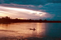 Amazon River Sunset