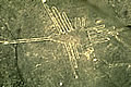 The Colibri, Nazca lines
