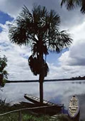 Lake Sandoval, Puerto Maldonado Rainforest
